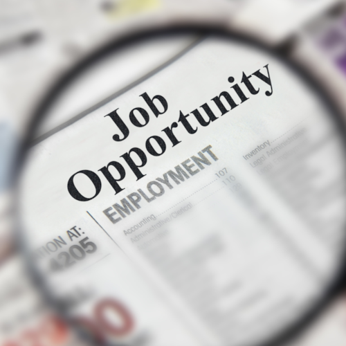 Job Opportunity